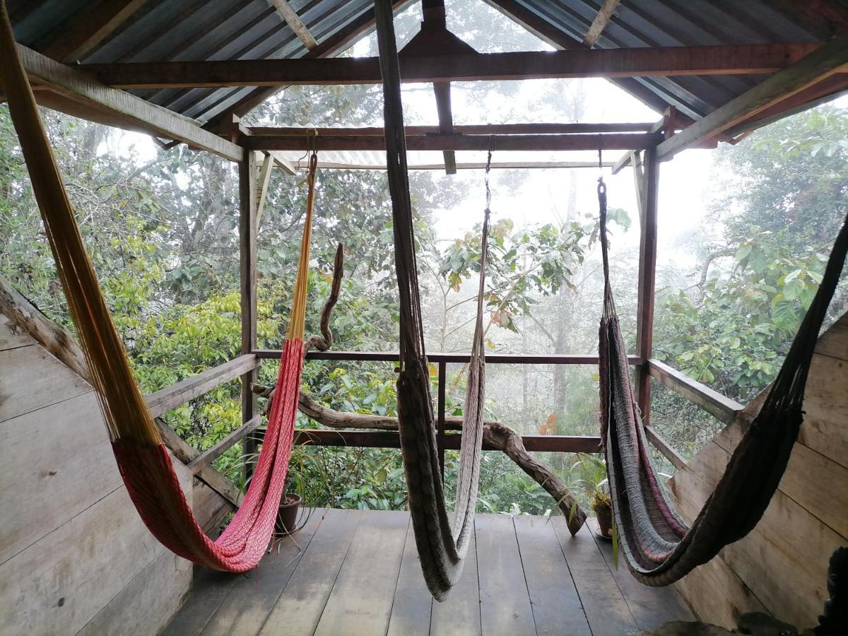 Paraiso Guest house Chijou