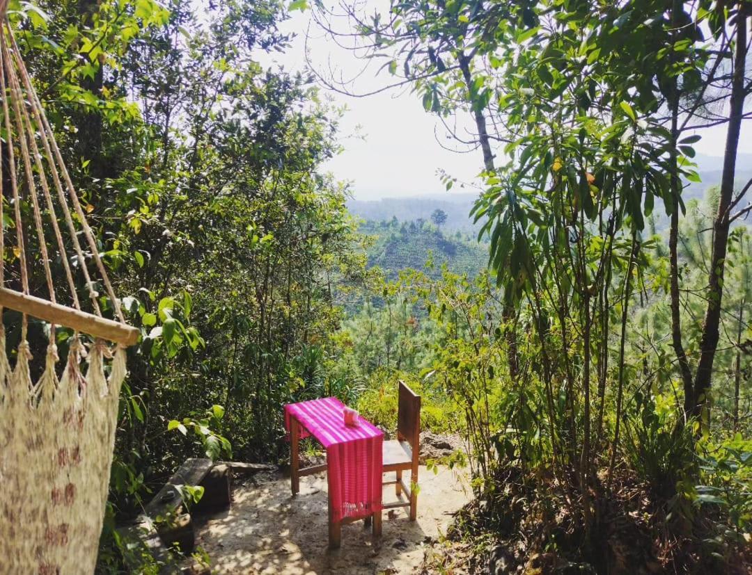 Guest house Paraiso Chijou
