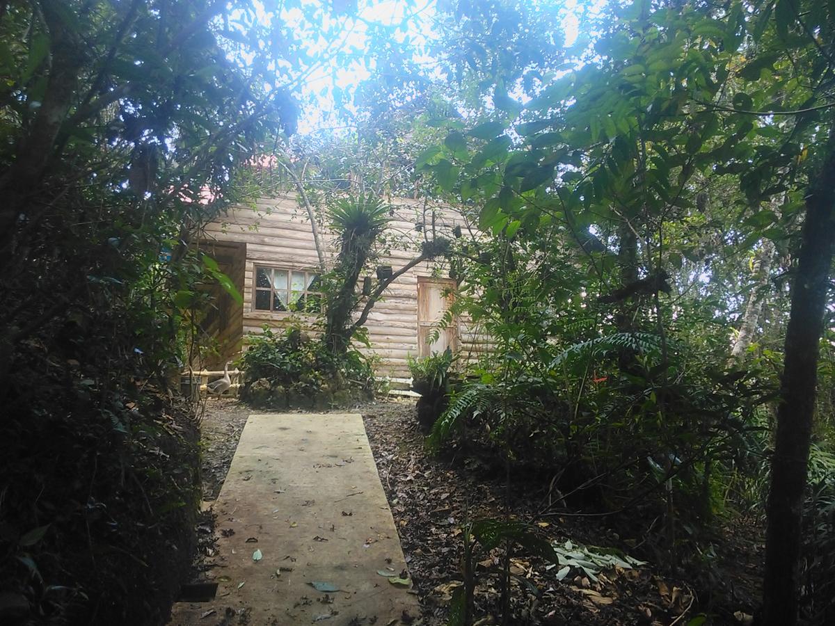 Paraiso Guest house