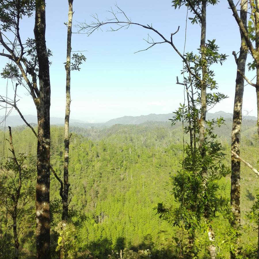 Paraiso *