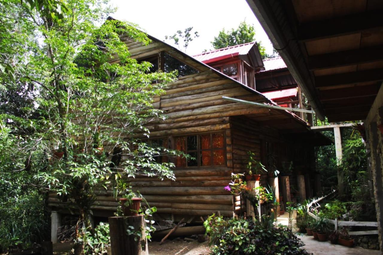 Paraiso Guest house Chijou